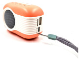 Radio portabil Wster WS 315