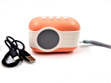 Radio portabil Wster WS 315
