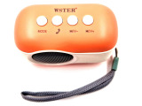 Radio portabil Wster WS 315